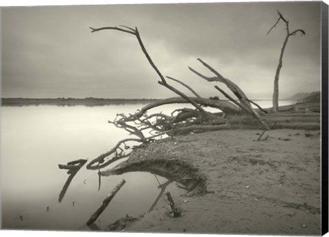 Framed End of History Print