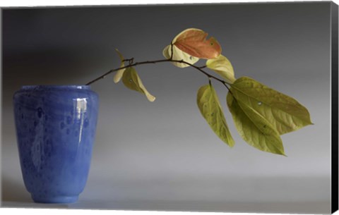 Framed Cluthra Print