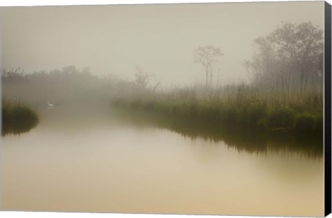 Framed South Meadows Print