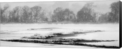 Framed Blizzard Print