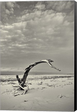 Framed Spice Box of Earth Print