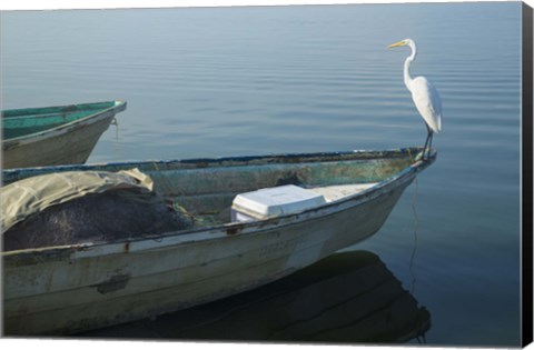 Framed Garzas-5-2 Print