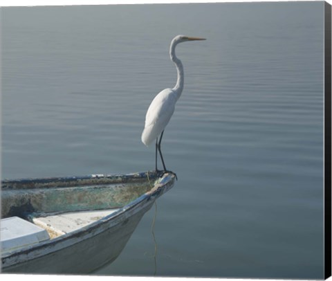 Framed Garzas-6-2 Print