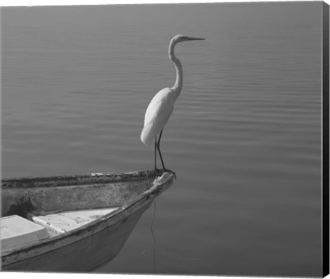 Framed Garzas-6 Print