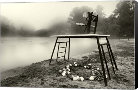 Framed Amygdala Station Print