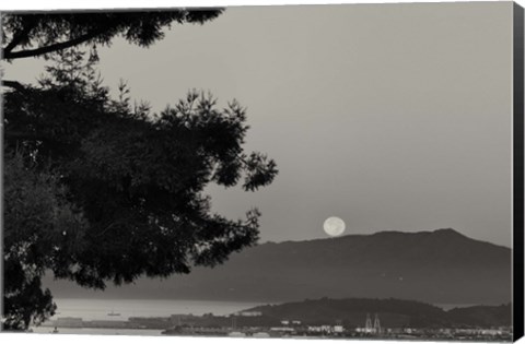 Framed That Is That Print