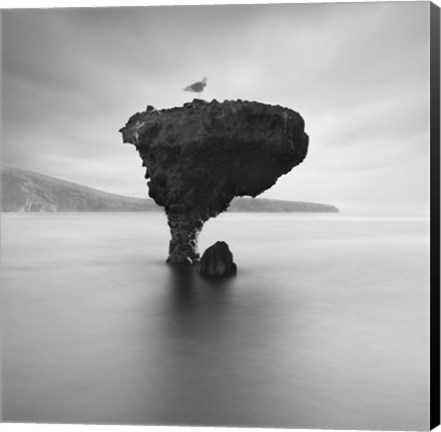 Framed La Balandra Print