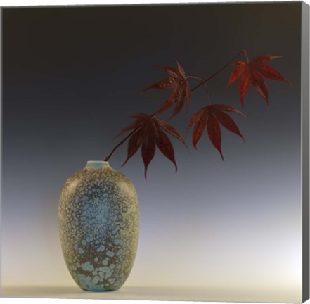 Framed Still Life with Japanese Maple and Raindrops Print