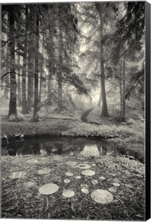 Framed Specular Echoes Print