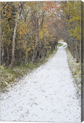 Framed Snow Way 1 Print