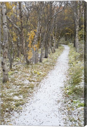 Framed Snow Way 2 Print