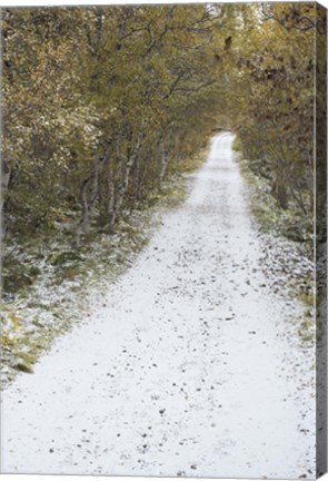 Framed Snow Way 3 Print