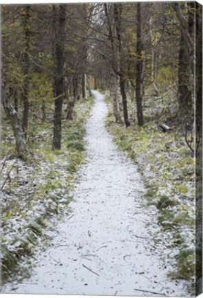 Framed Snow Way 4 Print