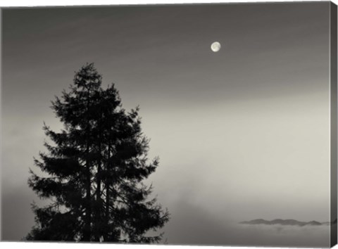 Framed First There is No Mountain Print