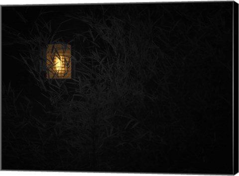 Framed In Country II Print