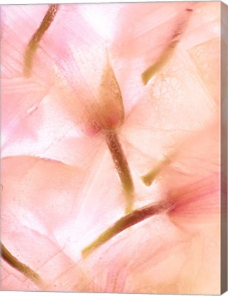 Framed Flores Congeladas 594 Print