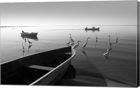 Framed Herons and 3 Boats Print