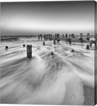 Framed Insurgency Print