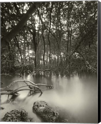 Framed Song of the South Print