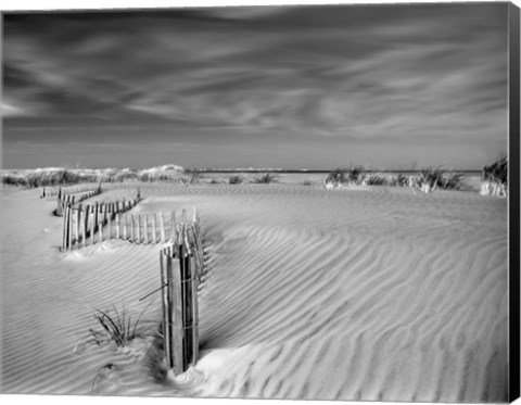 Framed Anglesea Moire I Print