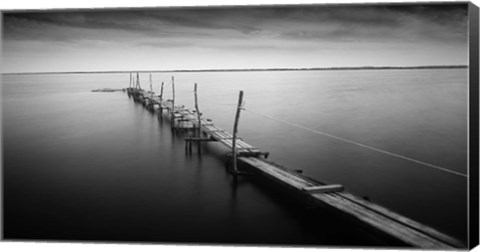 Framed 3 Palos Print