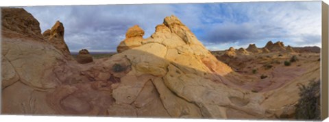 Framed Cottonwood II Print