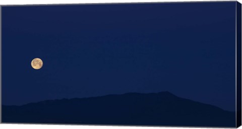 Framed Blue Too Print