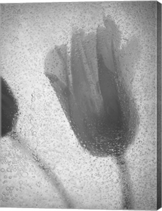 Framed Tulipanes Amarillos 32 1 Print
