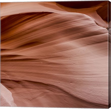 Framed Antelope Panorama 2 of 3 Print