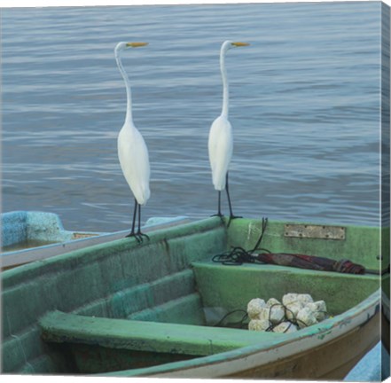 Framed Garzas-4-2 Print