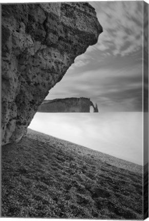 Framed Despite What You May Have Heard Print
