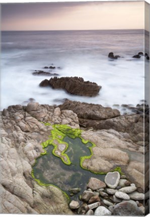 Framed Monterey (122) Print