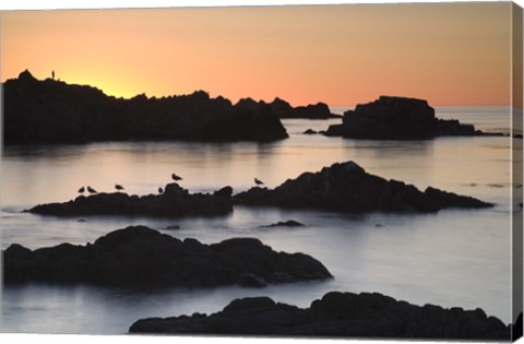 Framed Monterey 3-67 Print