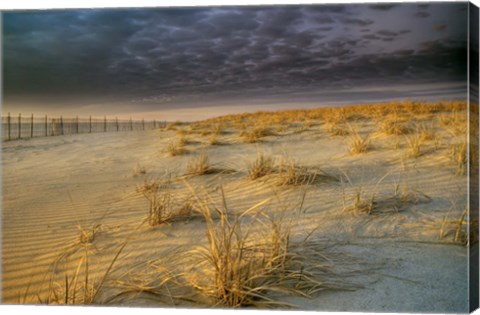 Framed Poverty Beach Print