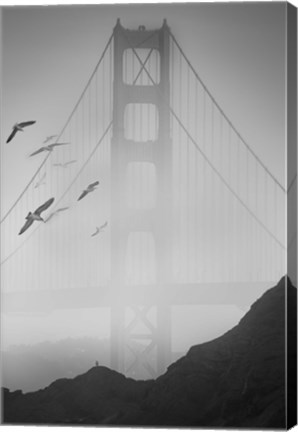 Framed Golden Gate Pier and Birds II Print