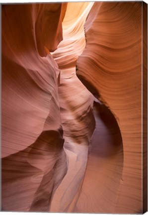 Framed Spiral I Print