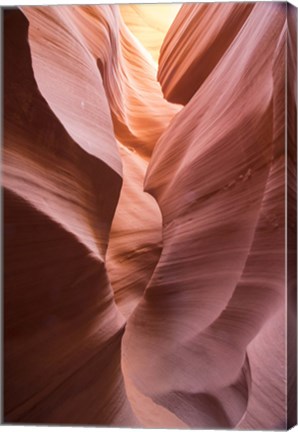 Framed Spiral II Print