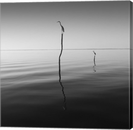 Framed Father And Son Print