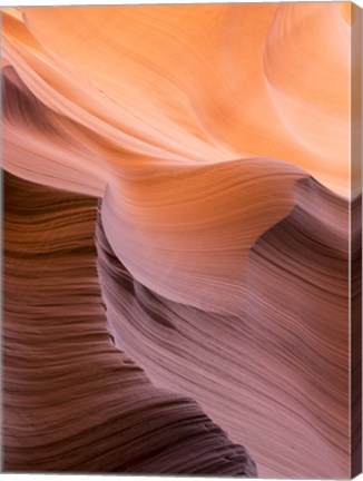 Framed Smooth III Print