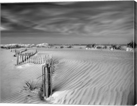 Framed Anglesea Moire Print