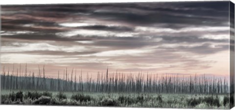 Framed Barrens Print