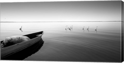 Framed Boat And Herons Print