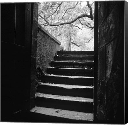 Framed Chenonceaux Print
