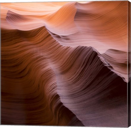 Framed Smooth I Print