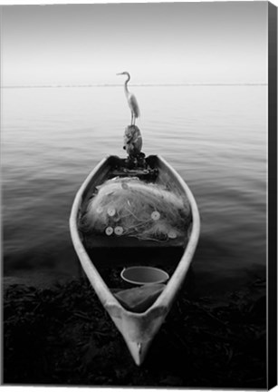 Framed Canoe And A Heron Print