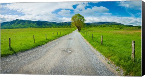 Framed Country gravel road passing through a field, Hyatt Lane, Cades Cove, Great Smoky Mountains National Park, Tennessee Print