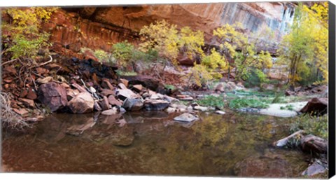 Framed Reflecting pond in Zion National Park, Springdale, Utah, USA Print