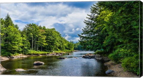 Framed Trees along the Moose River, New York State Print