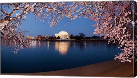 Framed Cherry Blossom Tree with Jefferson Memorial, Washington DC Print