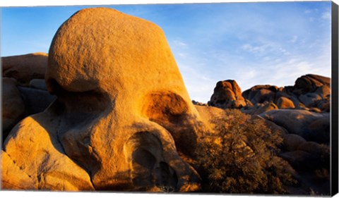 Framed Skull Rock formations, Joshua Tree National Park, California, USA Print